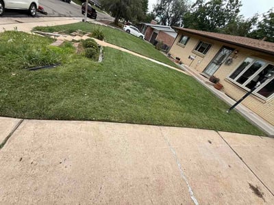 Lawn Care service in Greenwood Village, 80121
