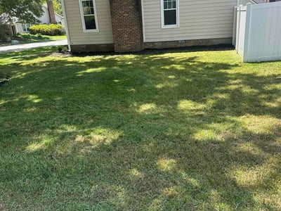 Lawn Care service in West Linn, 97068