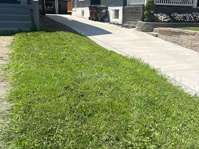 Lawn Care service in Hyde Park, 45208
