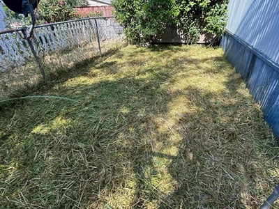 Lawn Care service in Fair Oaks, 95628