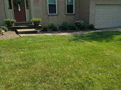 Lawn Care service in Milford, 45150