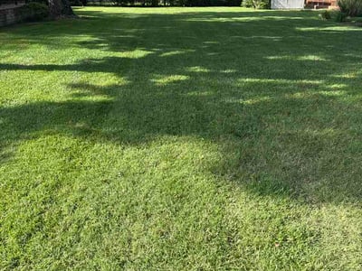 Lawn Care service in Coweta, 74429