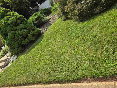 Lawn Care service in Oxon Hill, 20745