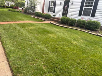 Lawn Care service in New Albany, 43054