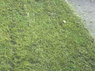 Lawn Care service in Lehigh Valley, 18103