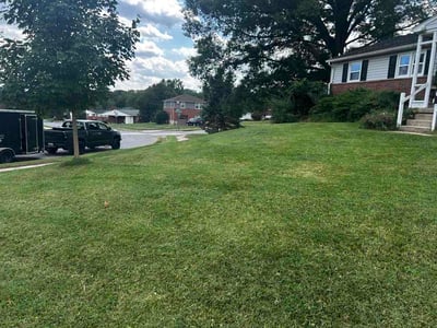 Lawn Care service in Potomac, 20036