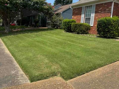 Lawn Care service in Calabasas, 91302