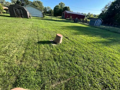 Lawn Care service in Duquesne, 15110