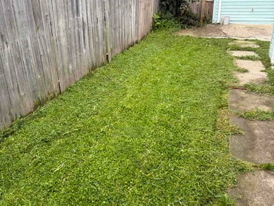 Lawn Care service in Duquesne, 15110