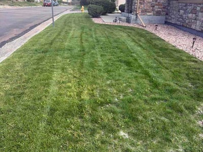 Lawn Care service in Peyton, 80831