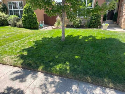 Lawn Care service in Peyton, 80831