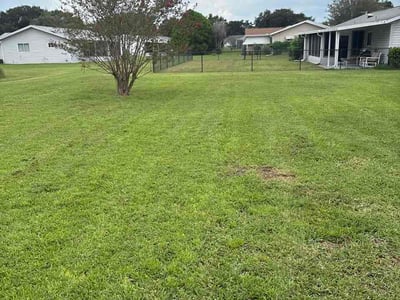 Lawn Care service in Opa Locka, 33054
