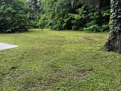 Lawn Care service in Opa Locka, 33054