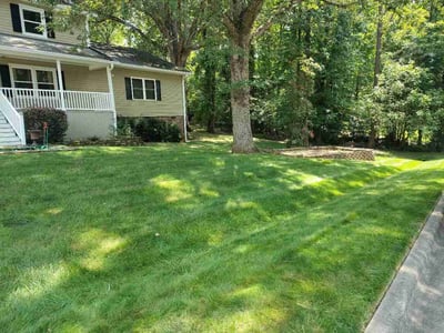 Lawn Care service in Reidsville, 27320