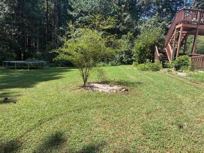 Lawn Care service in El Cajon, 92020