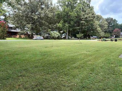 Lawn Care service in Randleman, 27317