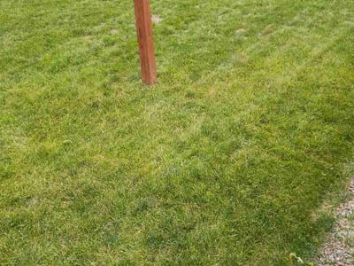 Lawn Care service in Oceanside, 92054