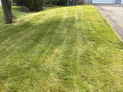 Lawn Care service in Clarks Summit, 18411