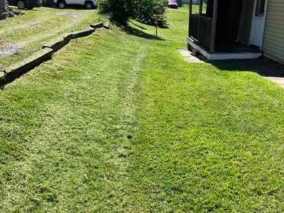 Lawn Care service in Clarks Summit, 18411