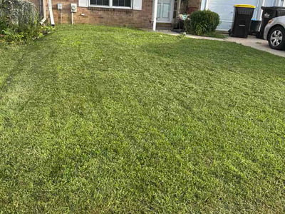 Lawn Care service in Bensalem, 19020