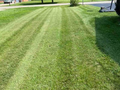 Lawn Care service in Franklin, 45005