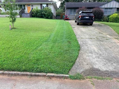 Lawn Care service in Vista, 92083