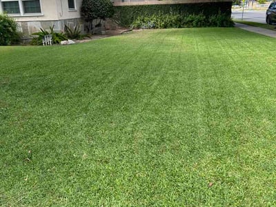 Lawn Care service in Bell Gardens, 90201