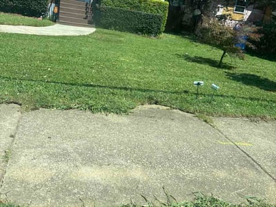 Lawn Care service in Vista, 92083