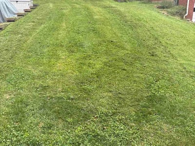 Lawn Care service in Irwin, 15642