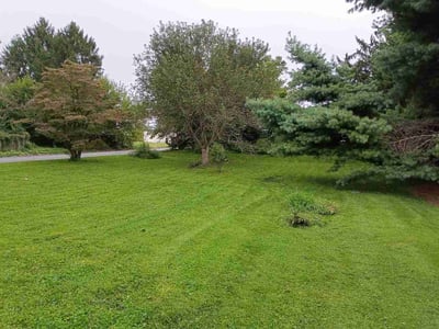 Lawn Care service in Irwin, 15642