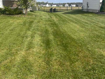 Lawn Care service in Tipp City, 45371