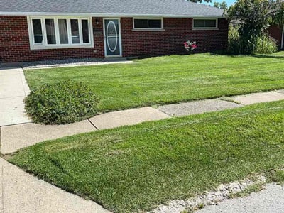 Lawn Care service in Tipp City, 45371