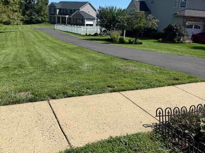 Lawn Care service in Quakertown, 18951