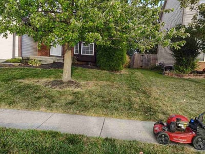 Lawn Care service in Groveport, 43125