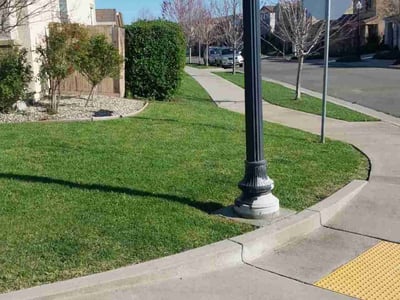 Lawn Care service in Sacramento, 95814