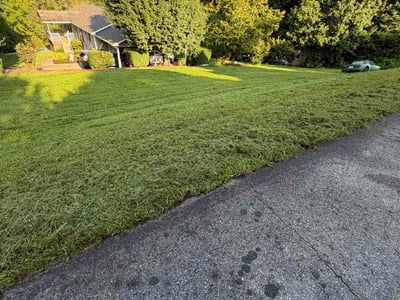 Lawn Care service in Candler, 28715