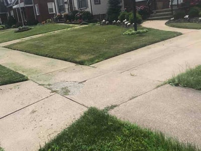 Lawn Care service in Wellington, 44090