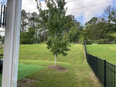 Lawn Care service in Belmont, 28012