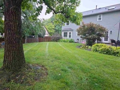 Lawn Care service in Dublin, 43017