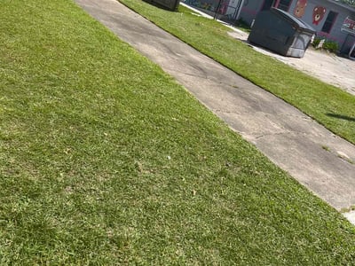 Lawn Care service in Paradise, 89119