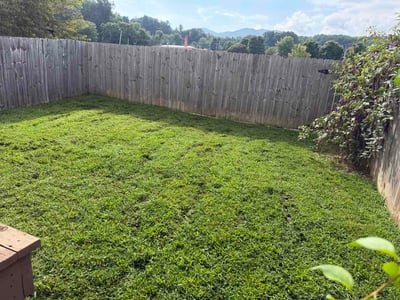 Lawn Care service in Waynesville, 28786