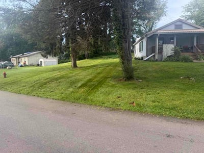 Lawn Care service in Waynesville, 28786