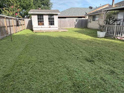 Lawn Care service in Downey, 90241