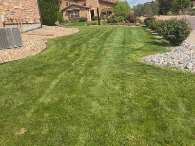 Lawn Care service in Lone Tree, 80124
