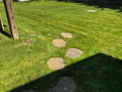 Lawn Care service in North Ridgeville, 44039