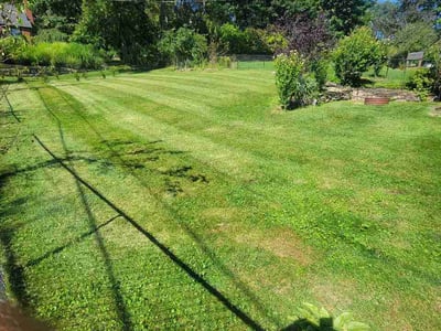 Lawn Care service in Glenshaw, 15116