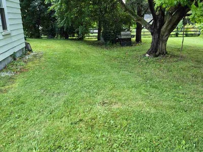 Lawn Care service in Whitehall, 18052