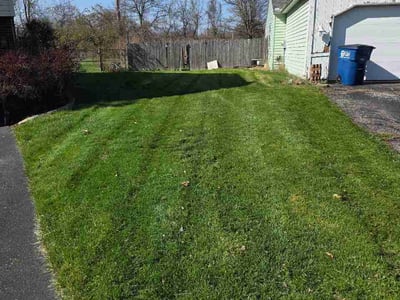 Lawn Care service in Holland, 43528