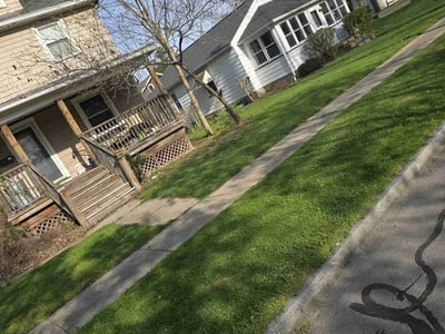 Lawn Care service in Baldwin, 11510