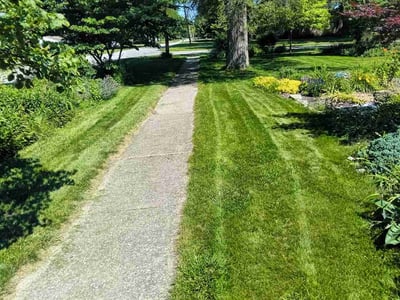 Lawn Care service in Holland, 43528